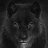 The Wolf